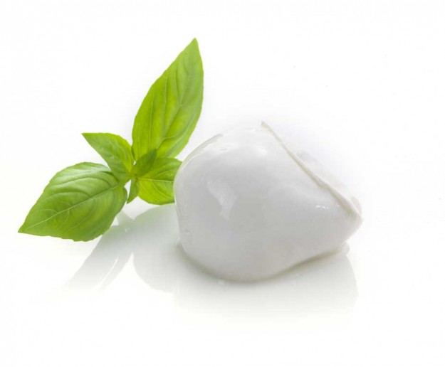 Bocconcino