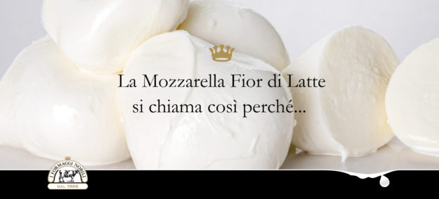 differenze tra fior di latte e bufala